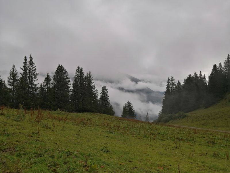 IMG_20200907_100939.jpg