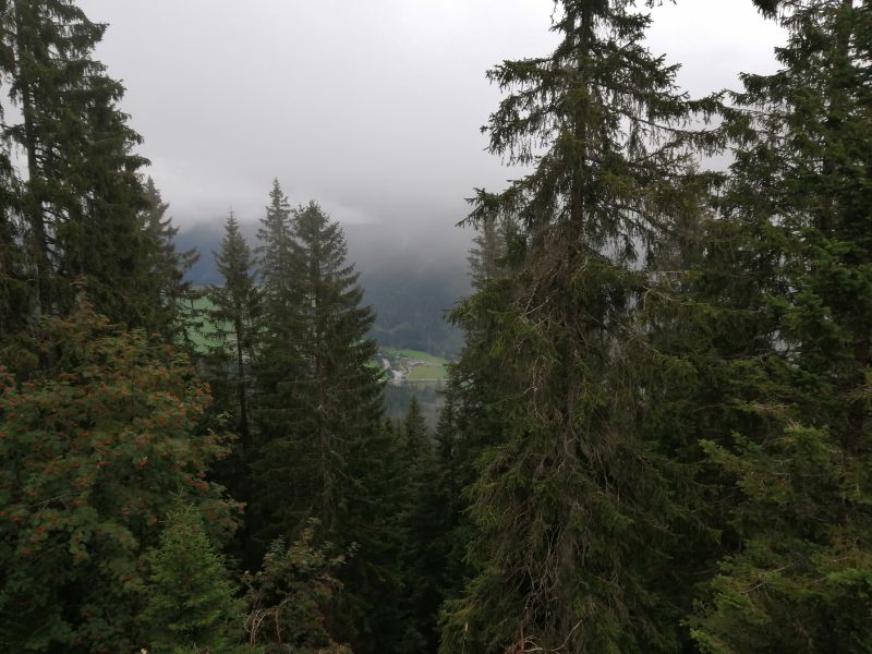 IMG_20200907_101519.jpg