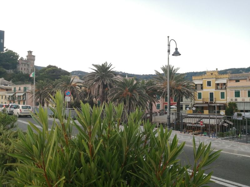 IMG_20200908_193849.jpg