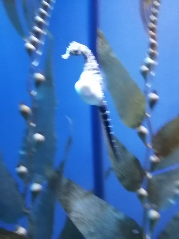 IMG_20200914_131245.jpg