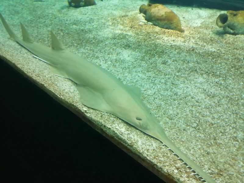 IMG_20200914_132053.jpg