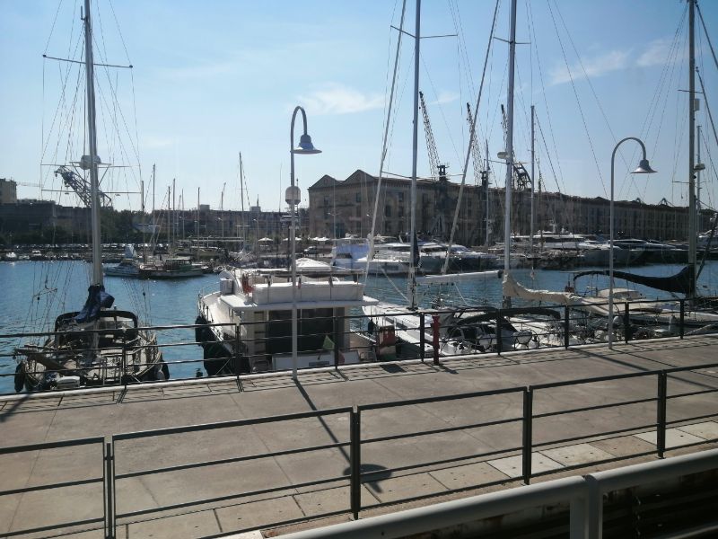 IMG_20200914_133734.jpg
