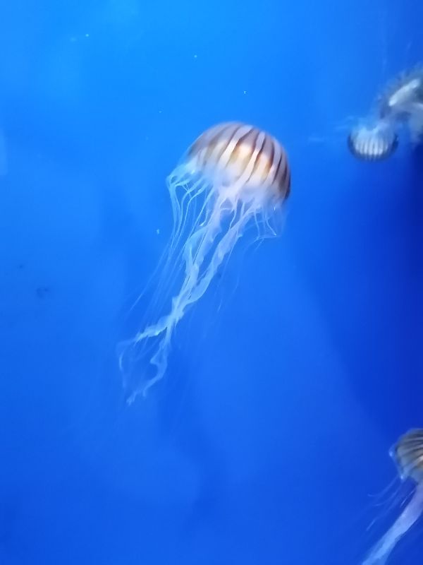 IMG_20200914_142211.jpg