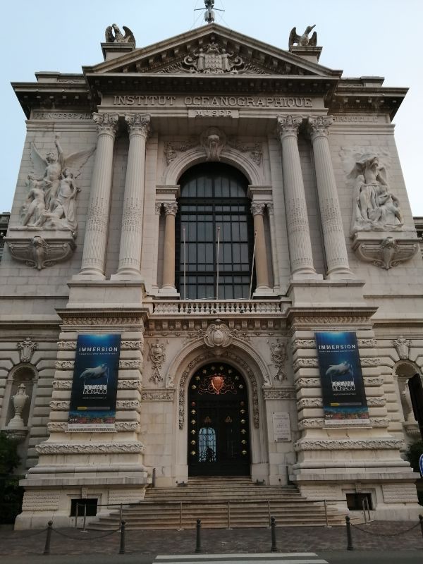 IMG_20200917_193130.jpg