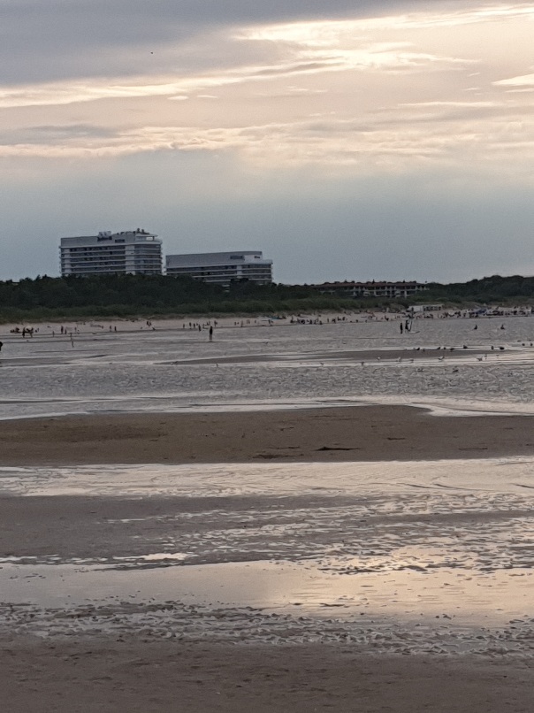 20201005_194320.jpg