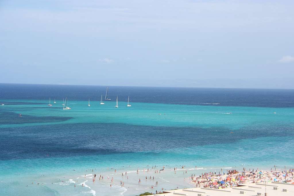 IMG_8078-001.jpg