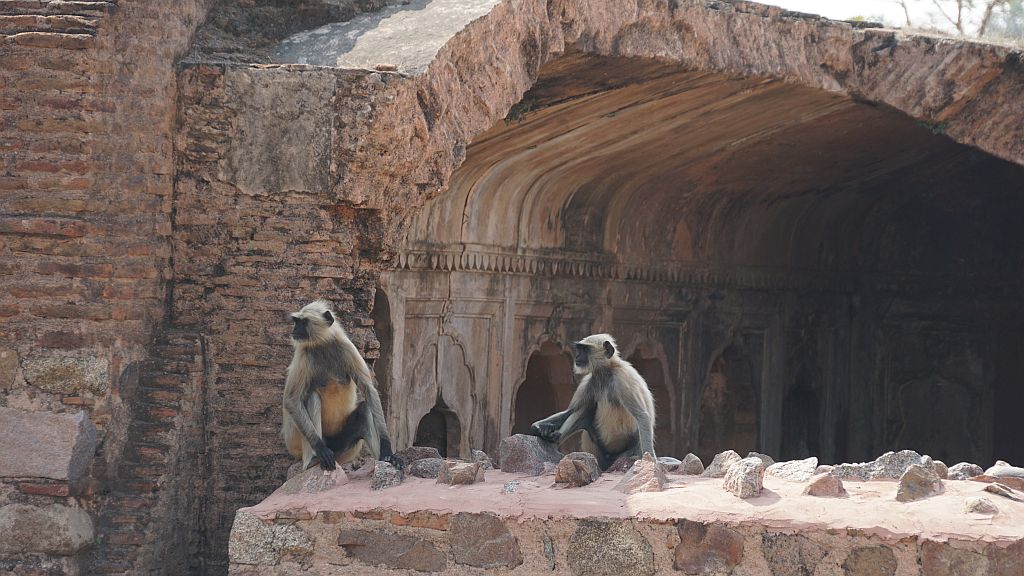 DSC08012.JPG