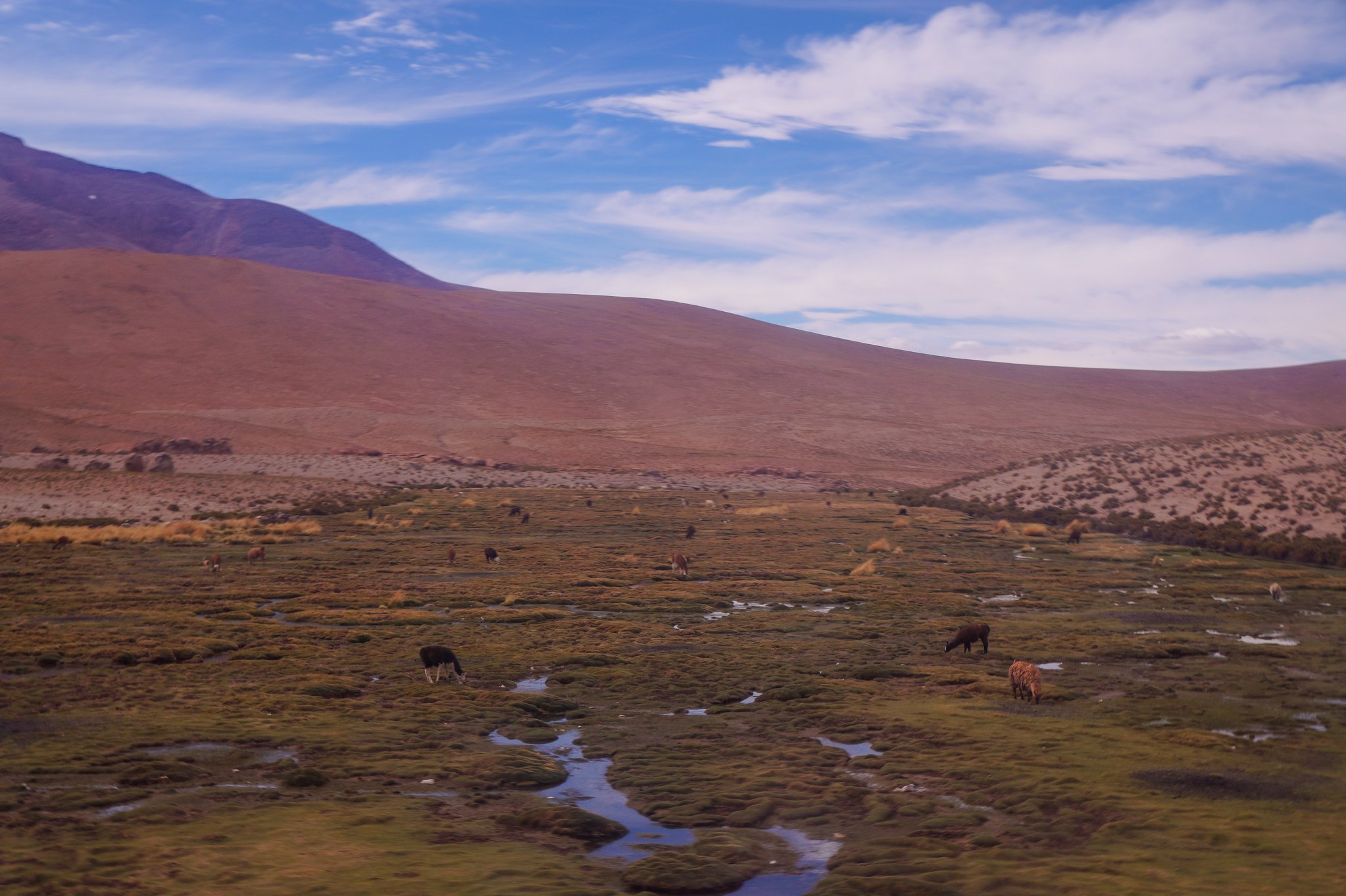 bolivia5.jpg