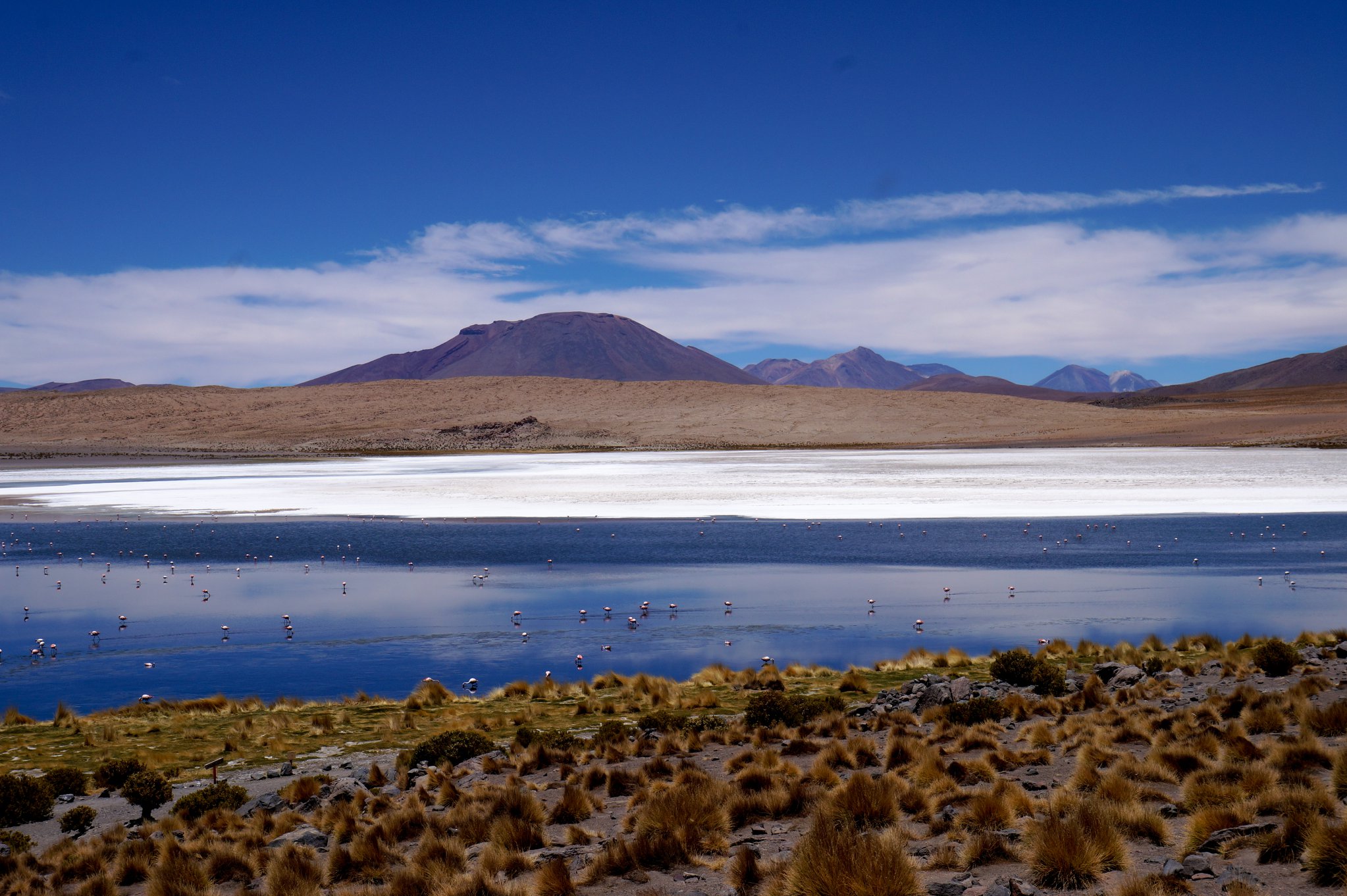 bolivia32.jpg