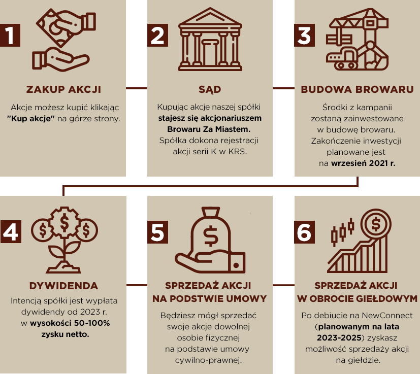 bzm_kroki_infografikapotencjal_pop5.png