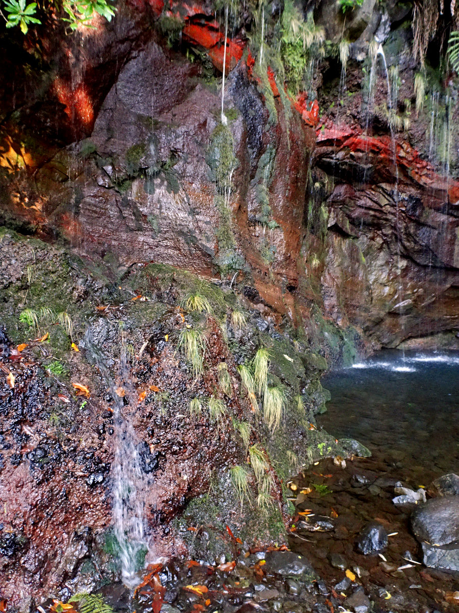 DSC00561.JPG