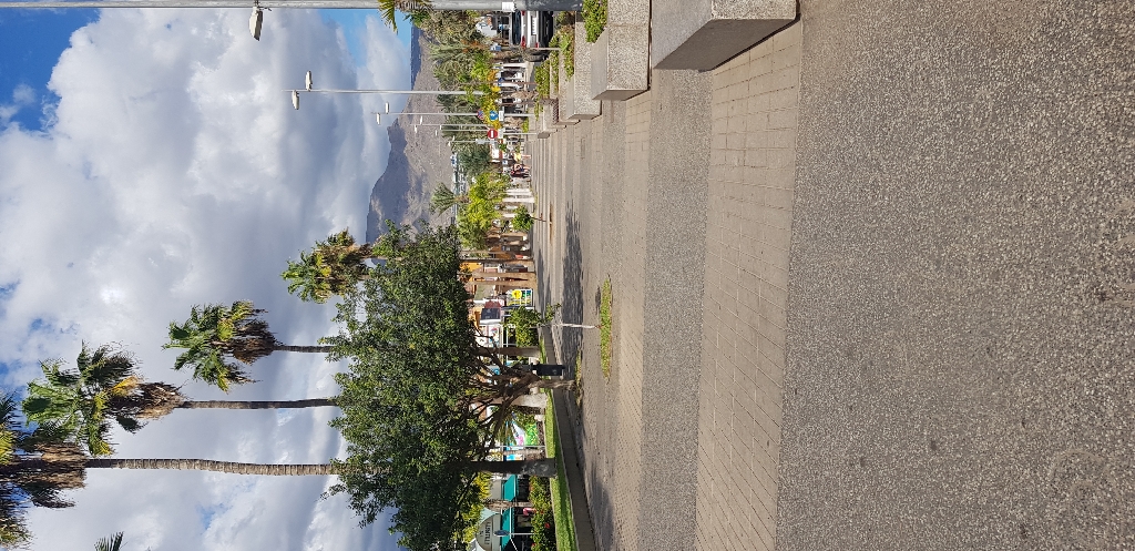 20201023_155826_resize_55.jpg