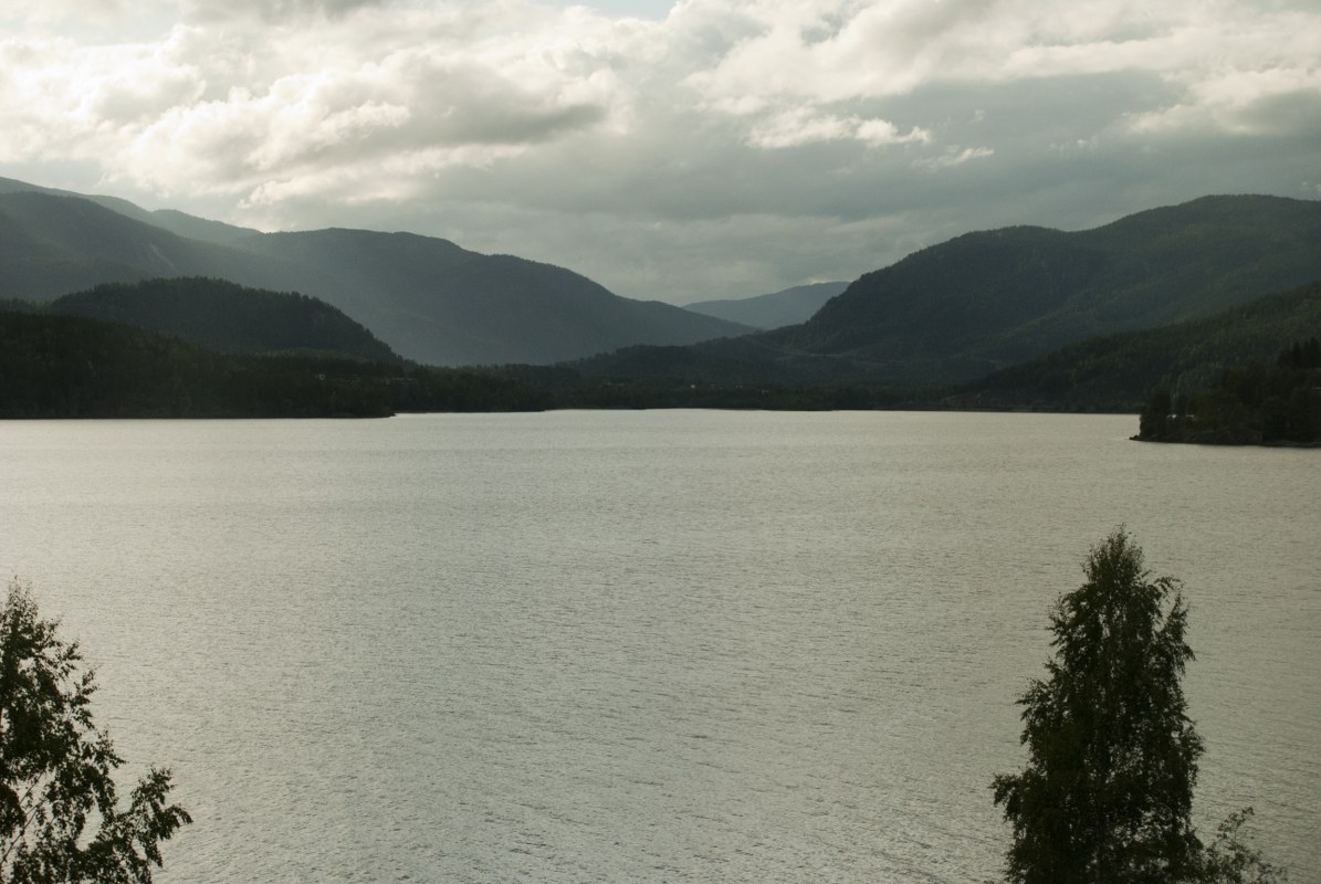 DSC_0068_1195x800.jpg