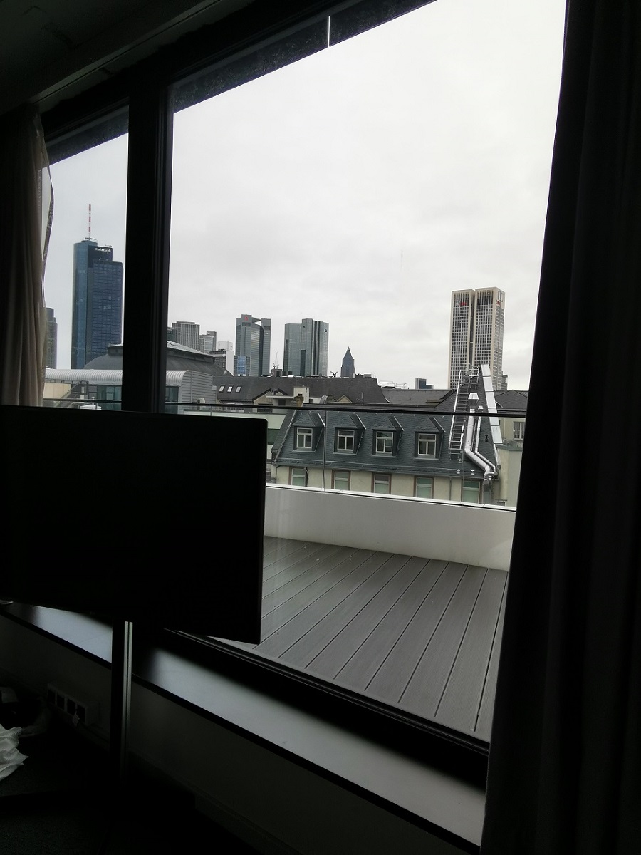 IMG_20201016_094511.jpg