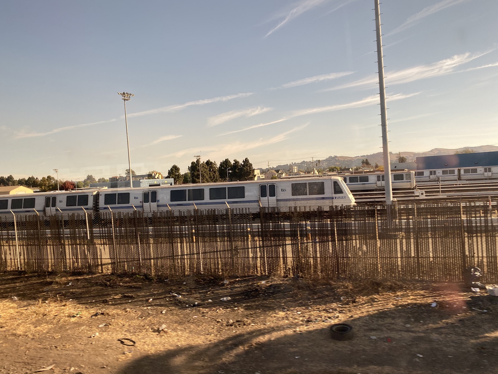 bart.jpg