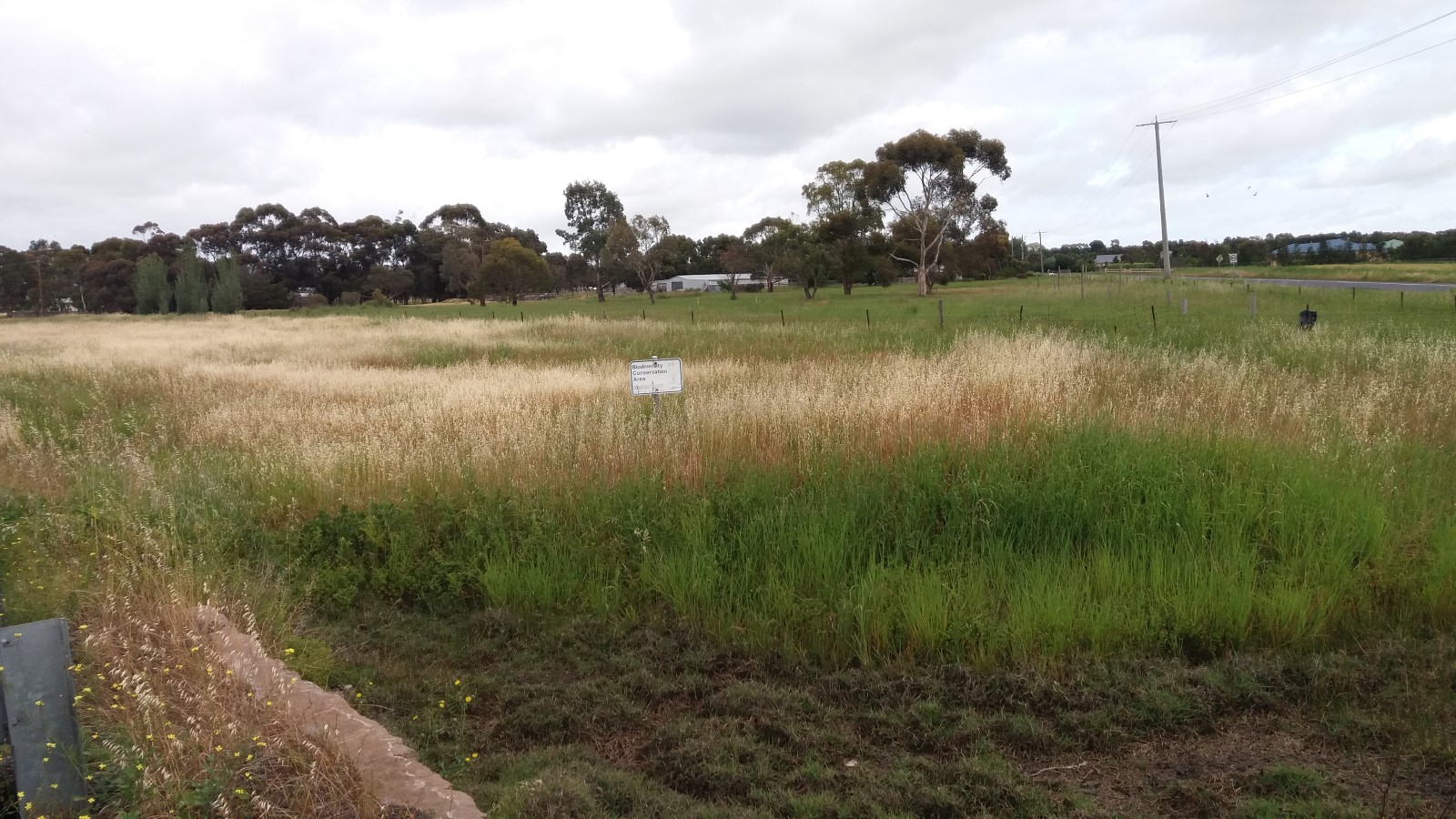 Biodiversity Conservation Area.jpg