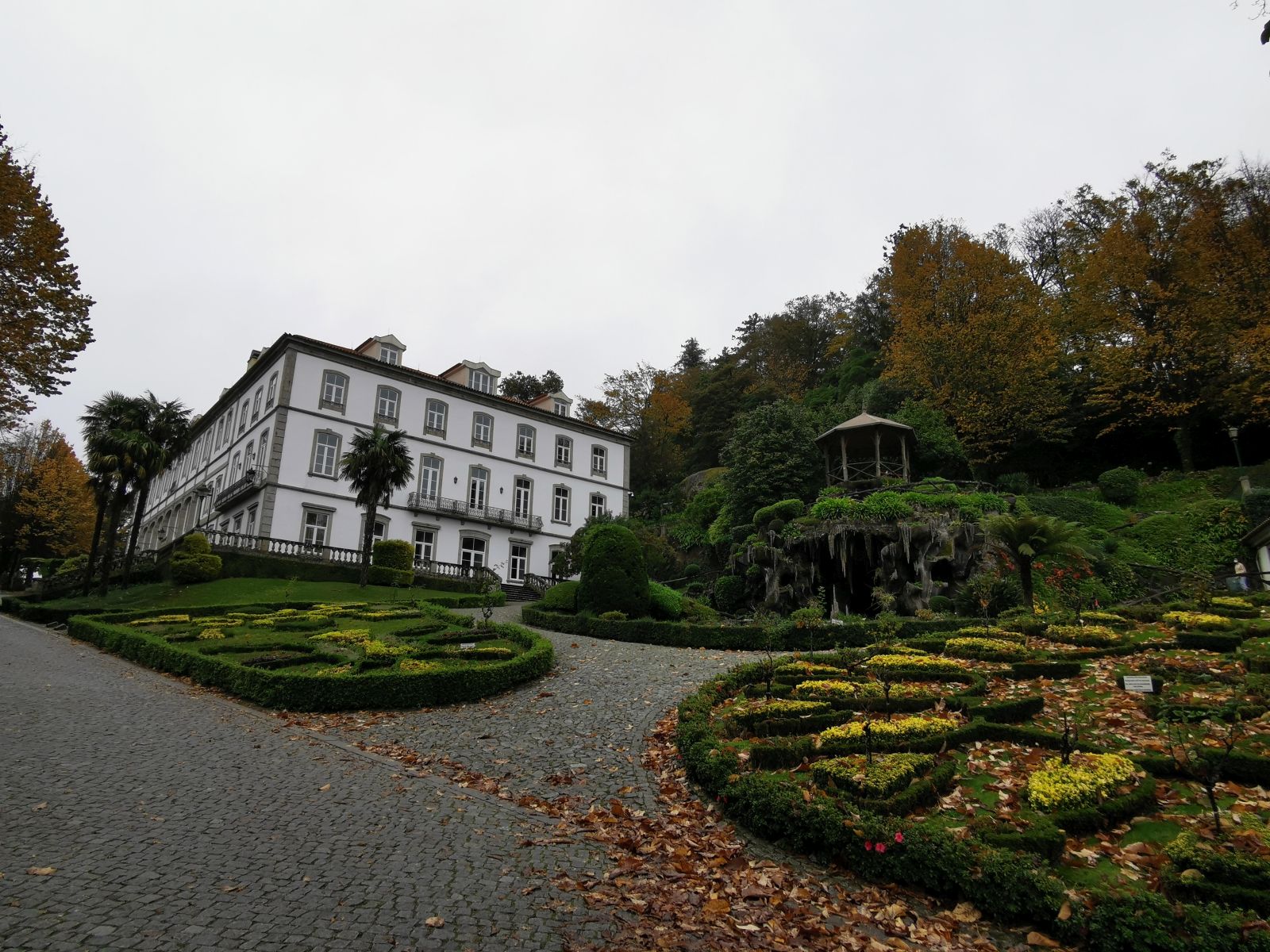 IMG_20201101_133741.jpg