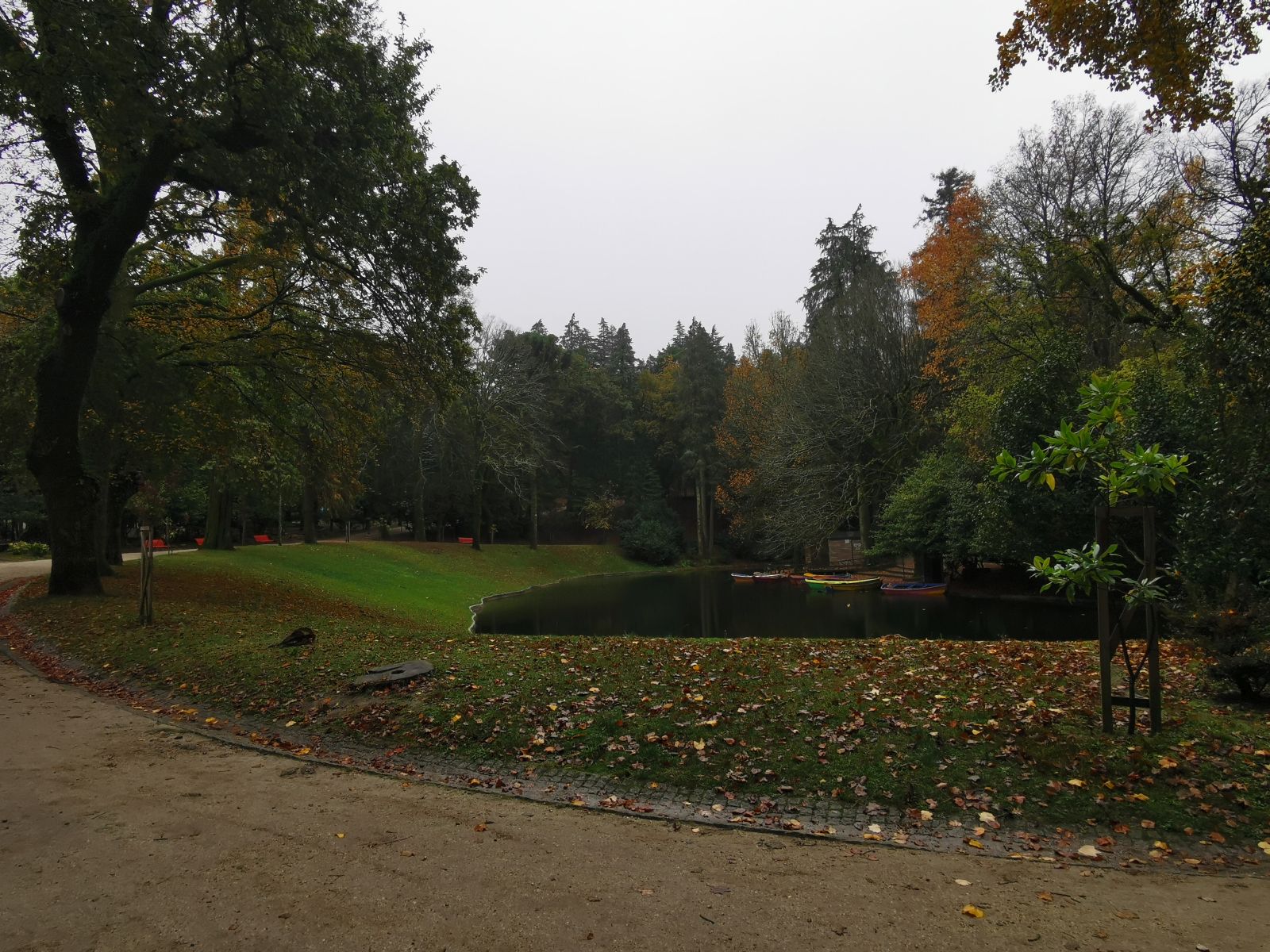 IMG_20201101_135047.jpg
