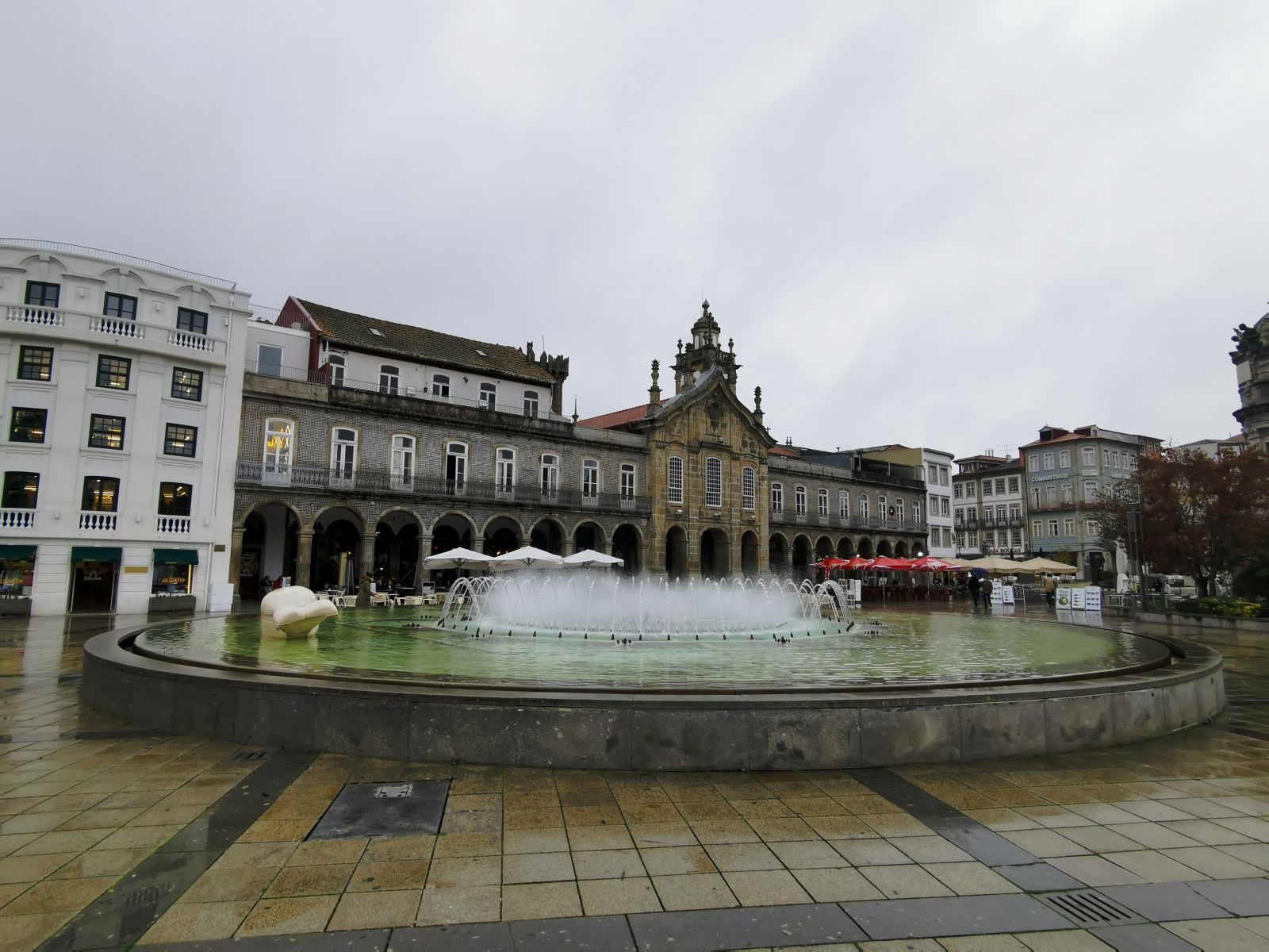IMG_20201101_161037.jpg