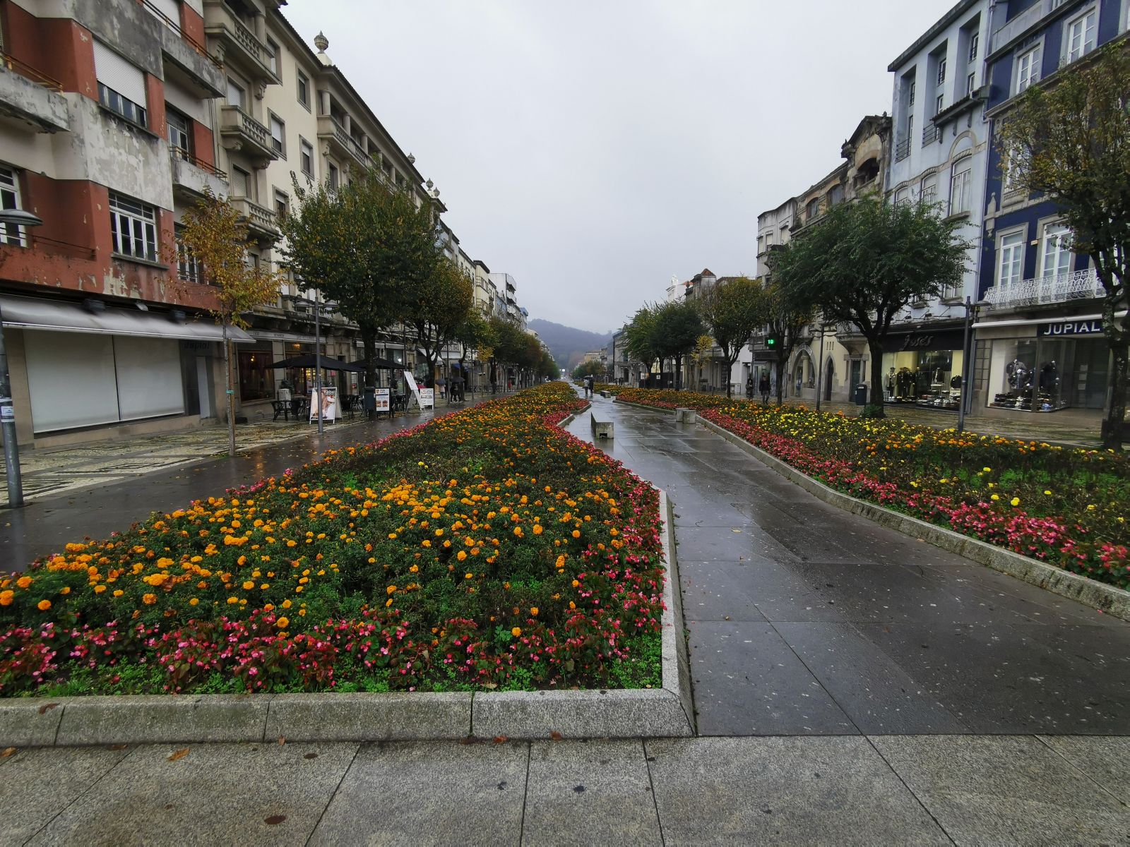 IMG_20201101_161715.jpg
