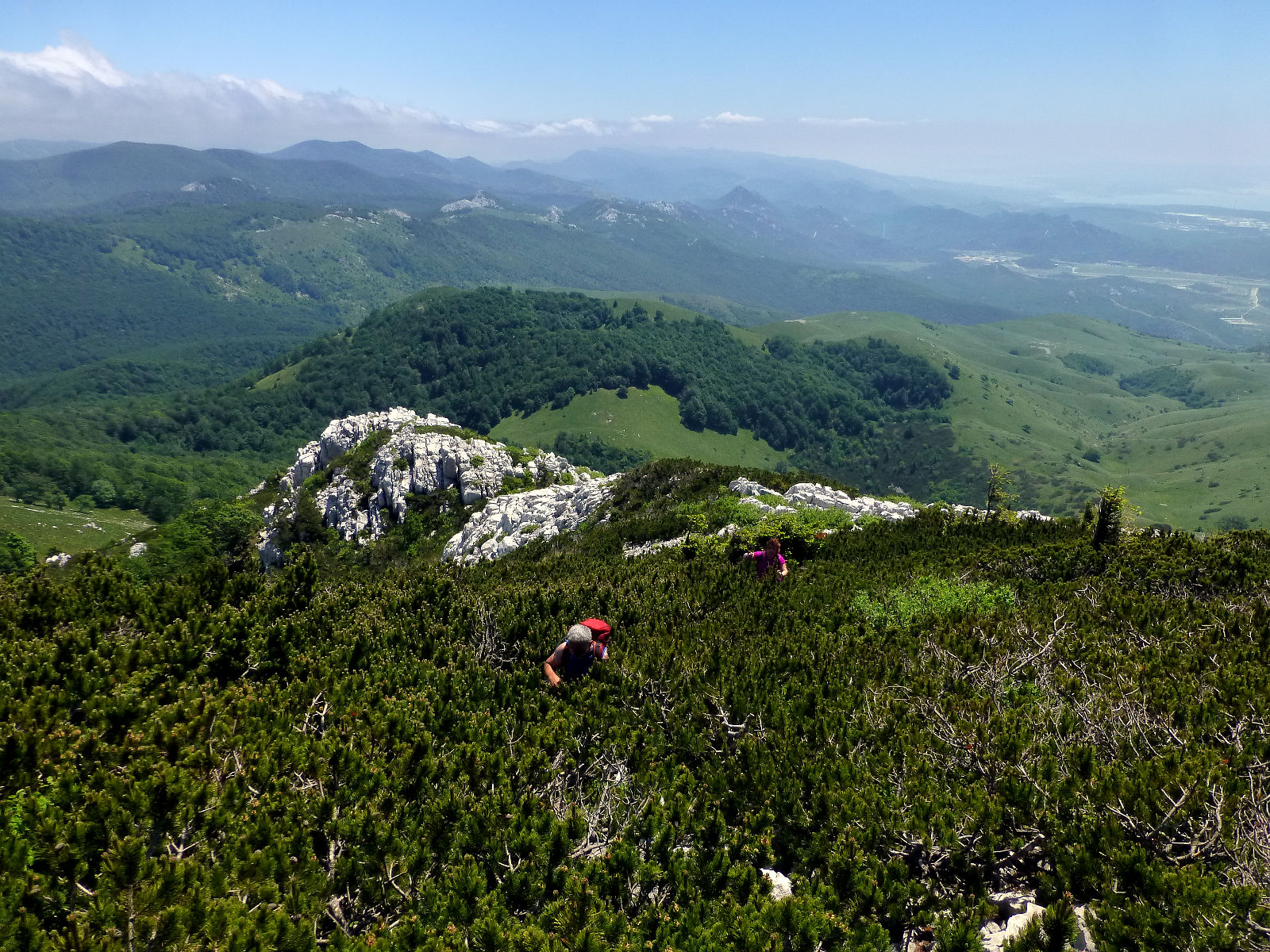 P2620952.JPG