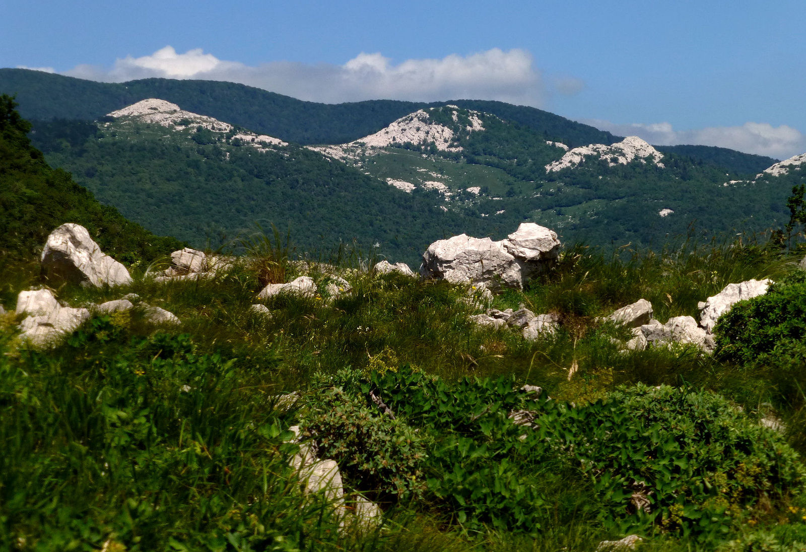 P2620993a.JPG