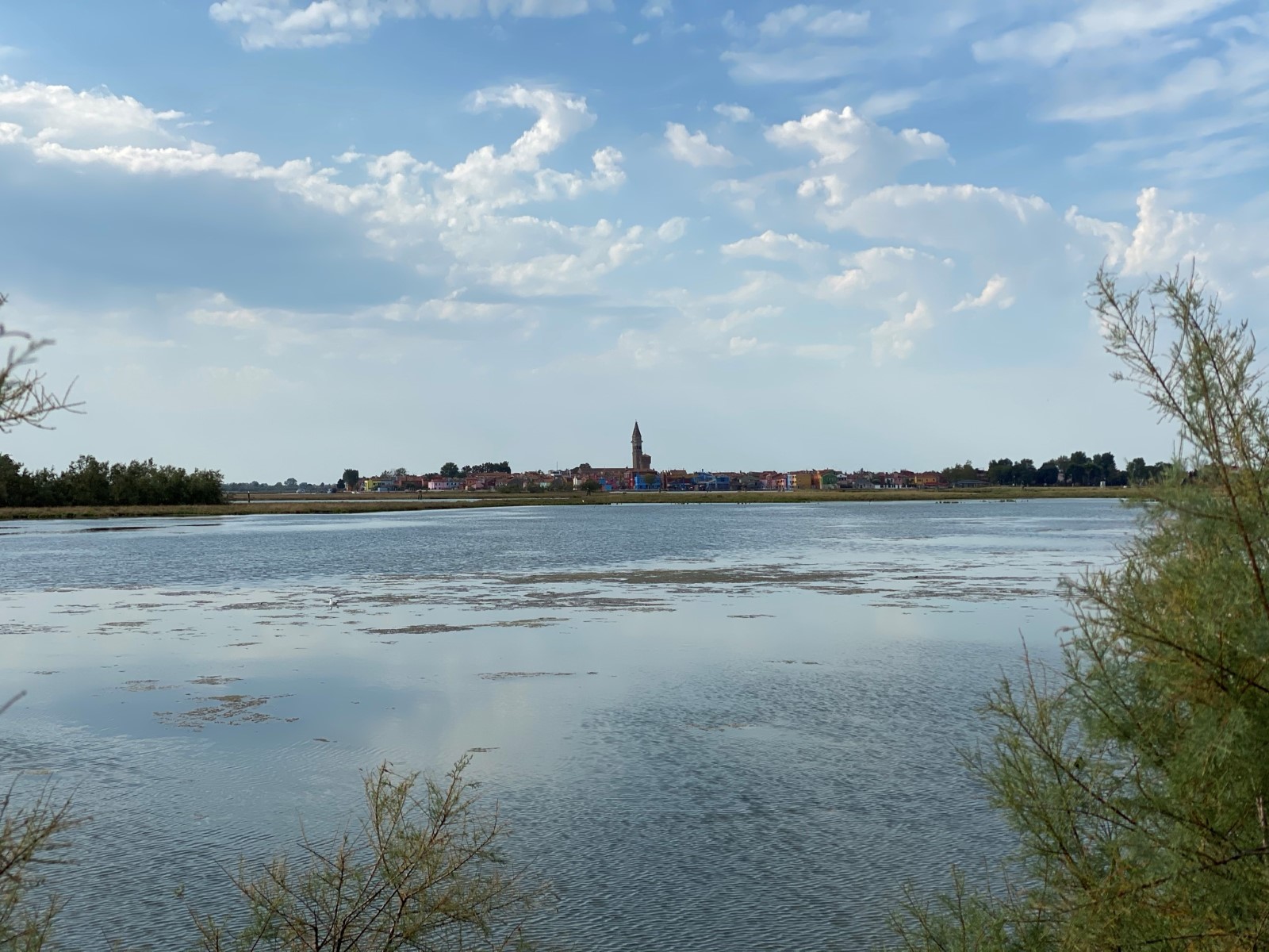 widok na Burano.JPEG