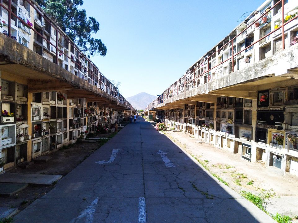 scl67.jpg