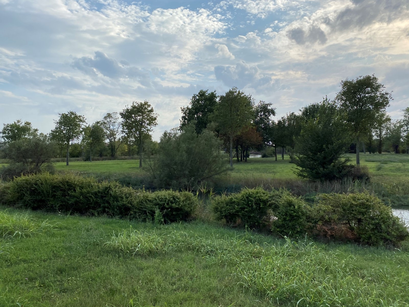 IMG_4313.JPEG