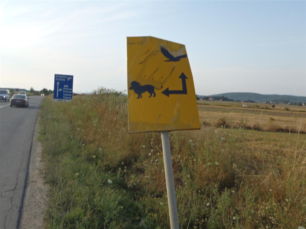 P7210326 (Medium).JPG