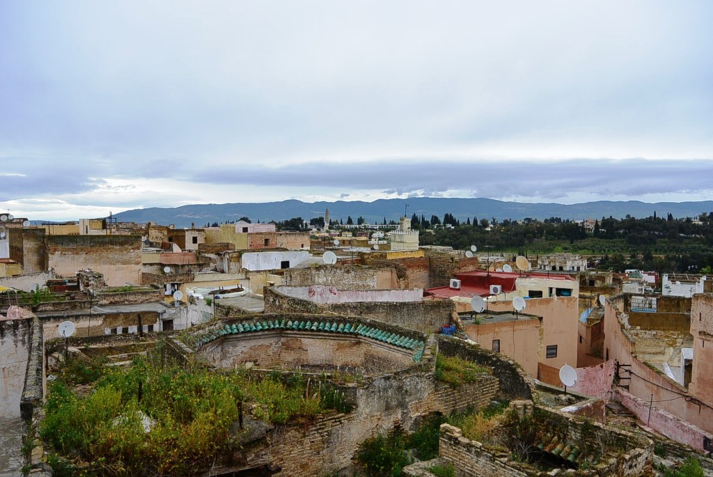 DSC_1977.JPG