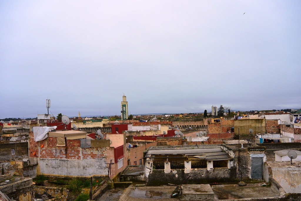DSC_1980.JPG