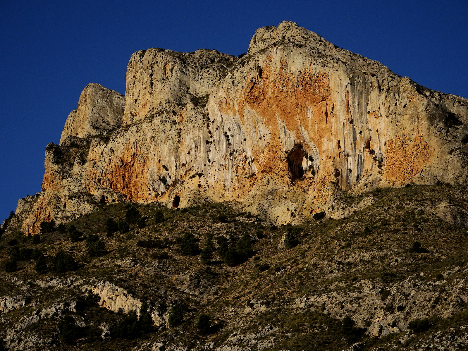DSC10031.JPG