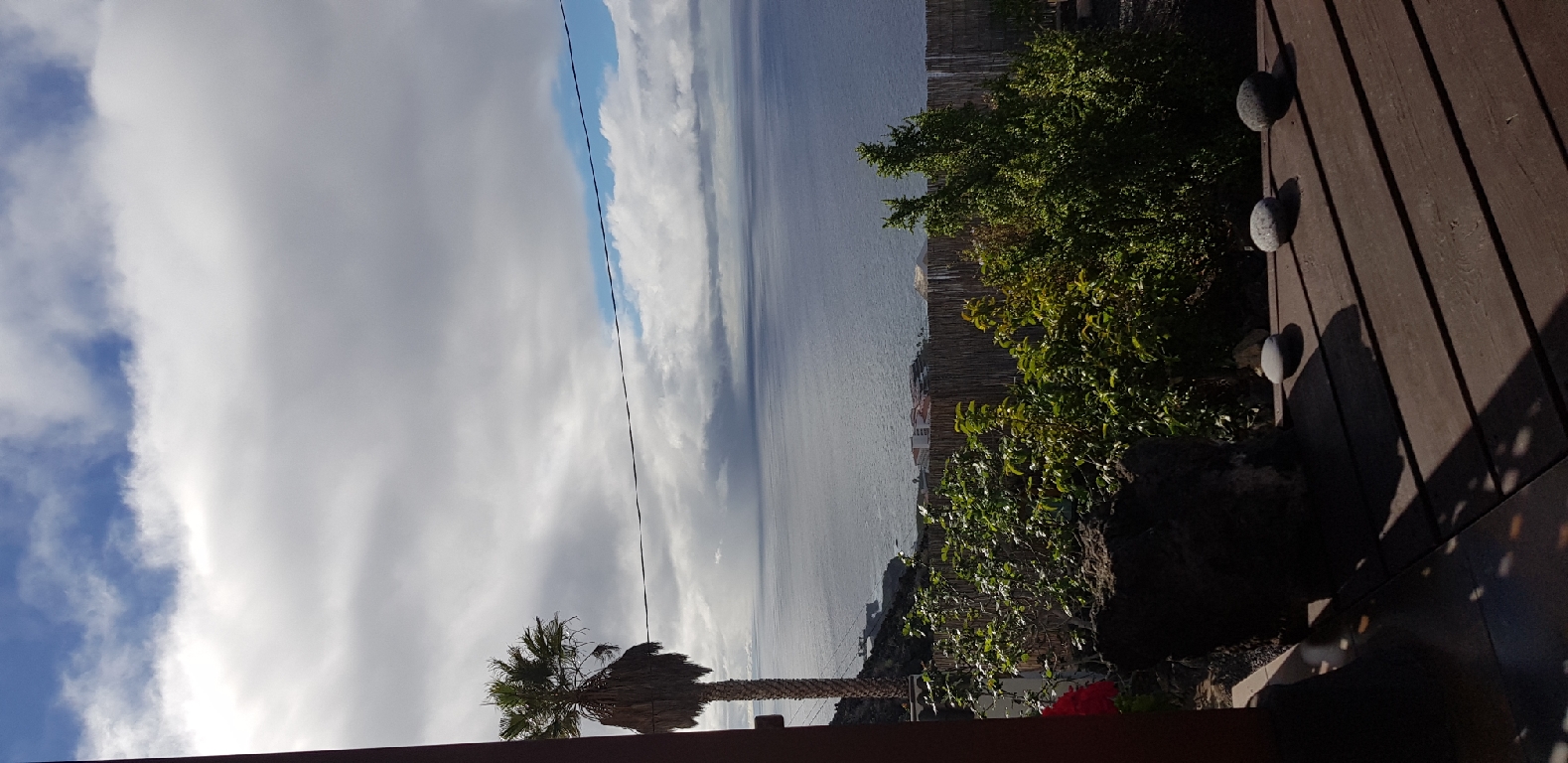 20201214_112228_resize_74.jpg