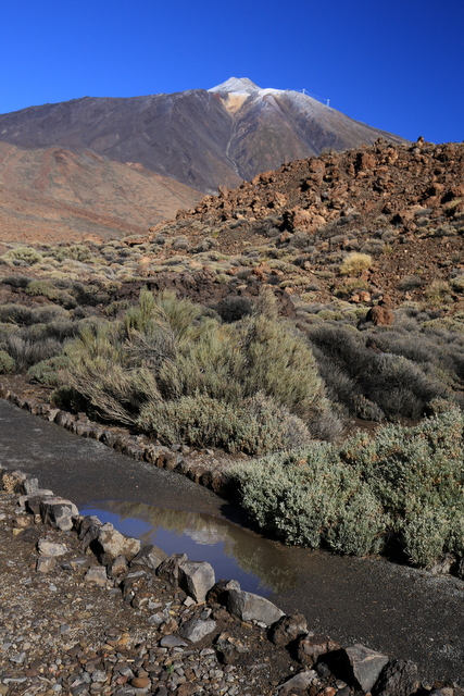 05-IMG_2427.JPG