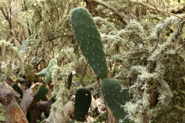 3-IMG_2763.JPG