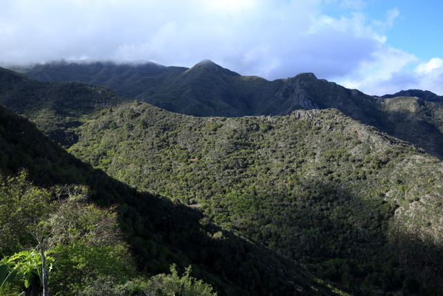6-IMG_2773.JPG
