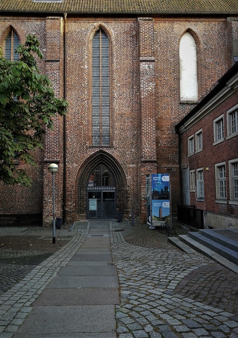 st4.jpg