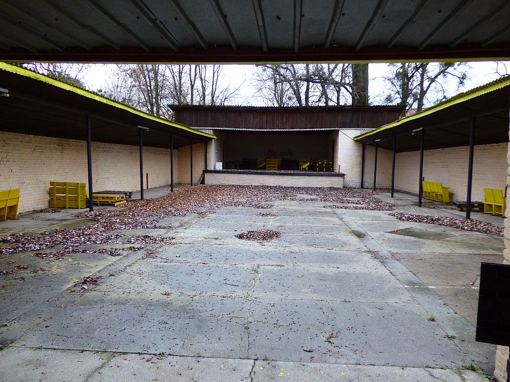 89.jpg