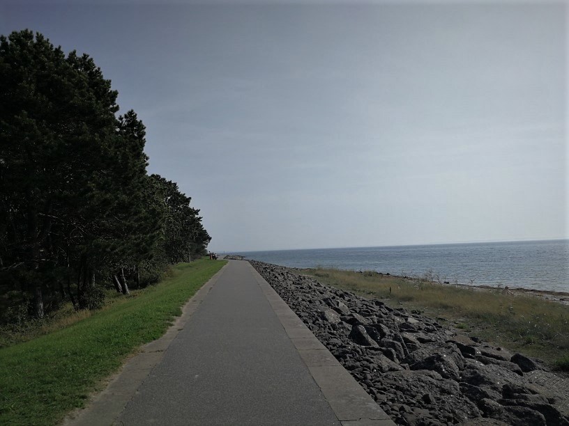 r11.jpg