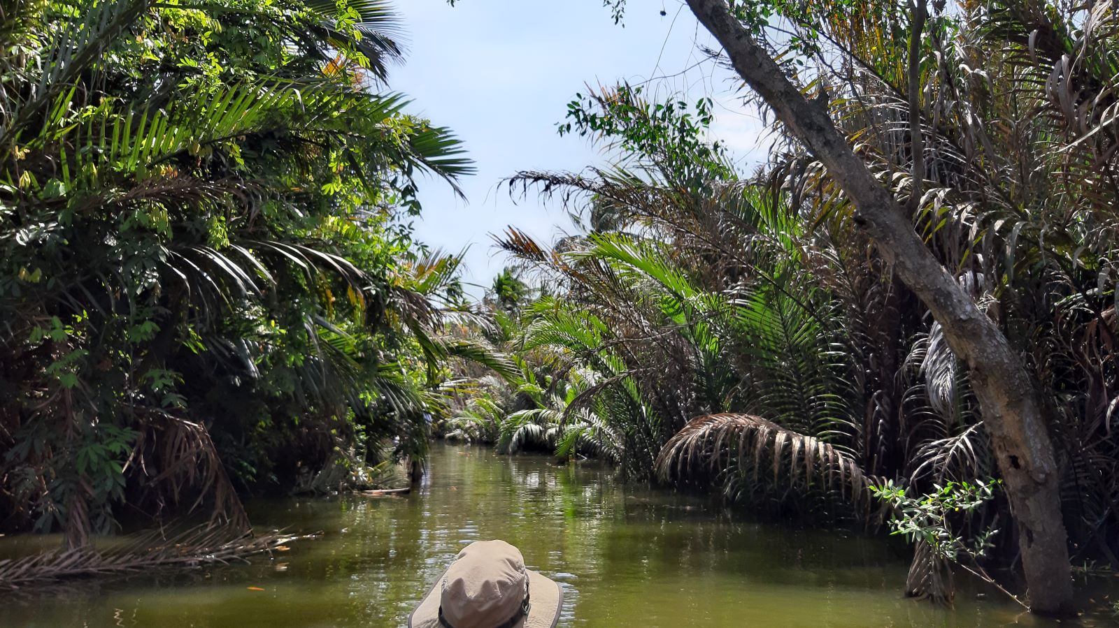 Mekong.jpg