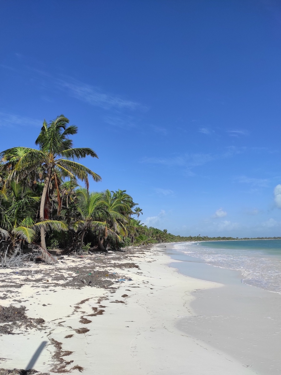 Punta Allen'21.jpg