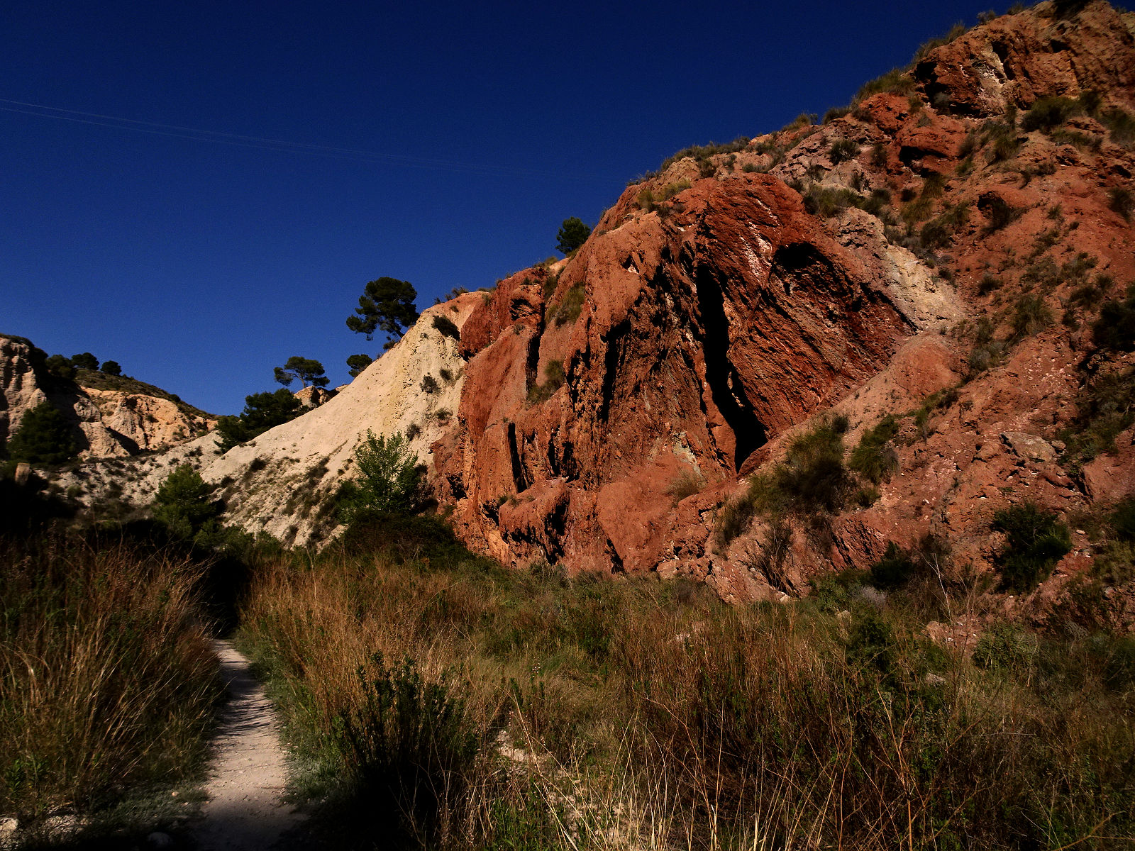 DSC10274.JPG
