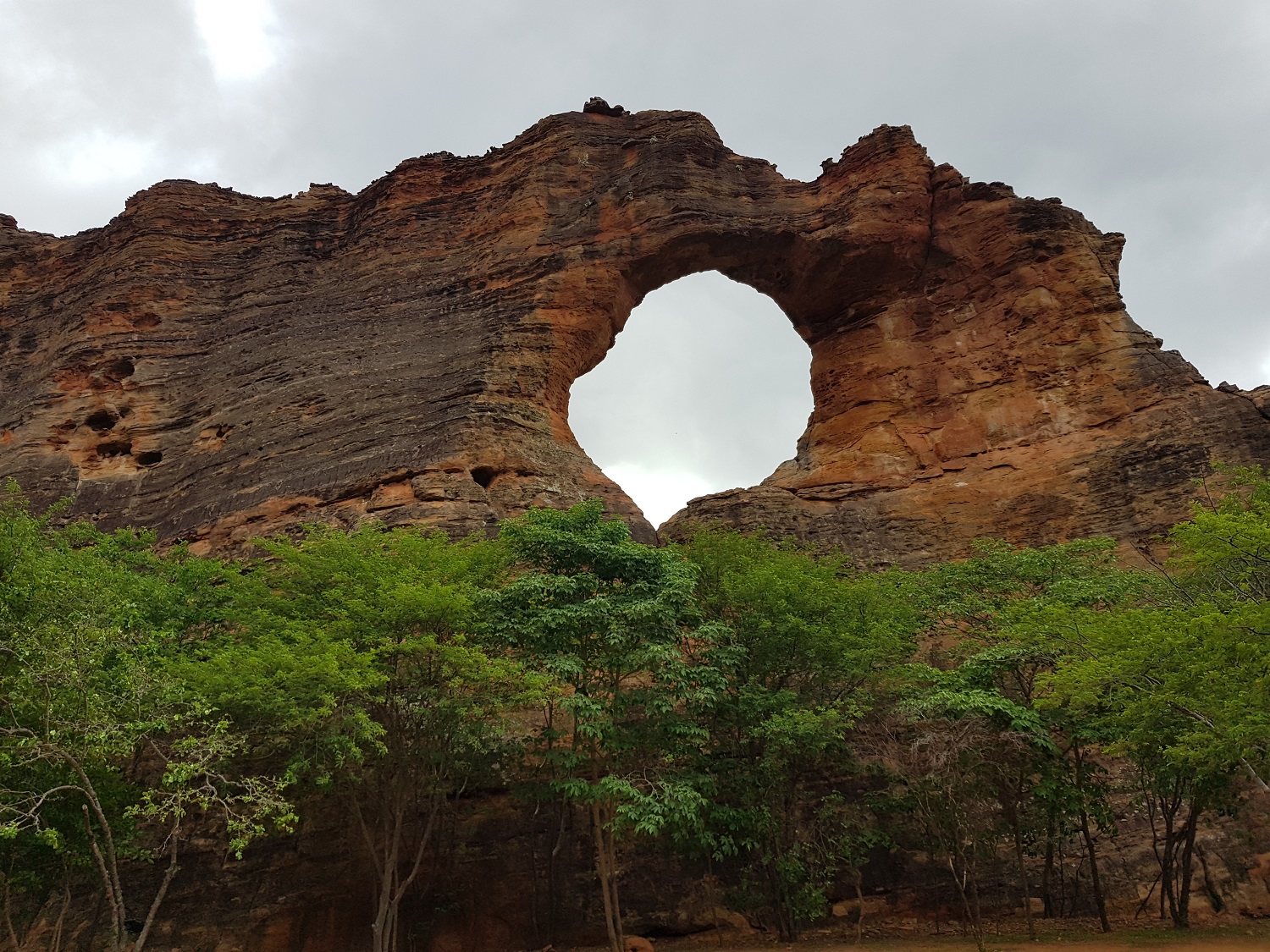 20201130_085037.jpg