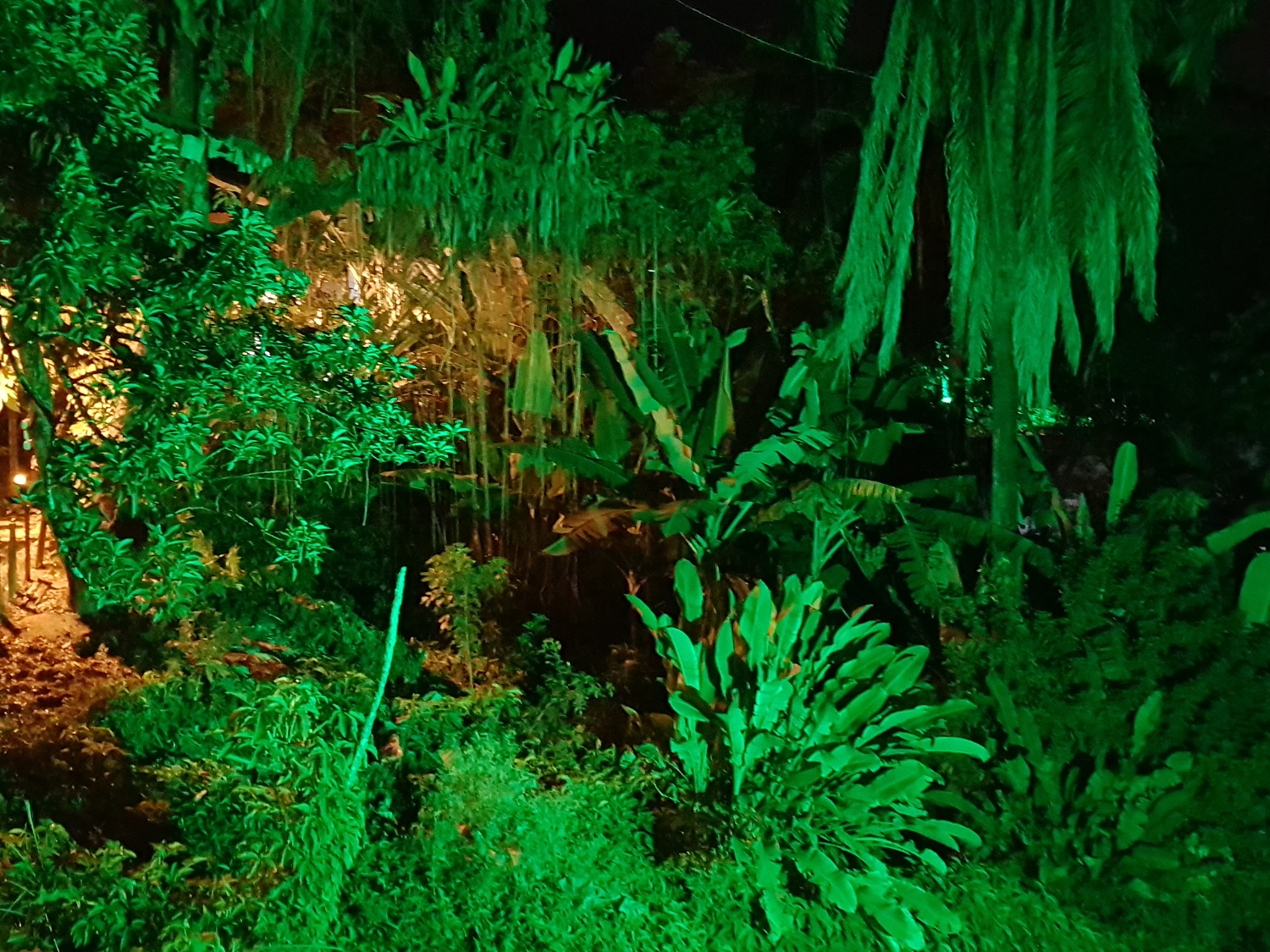 20201203_210118.jpg