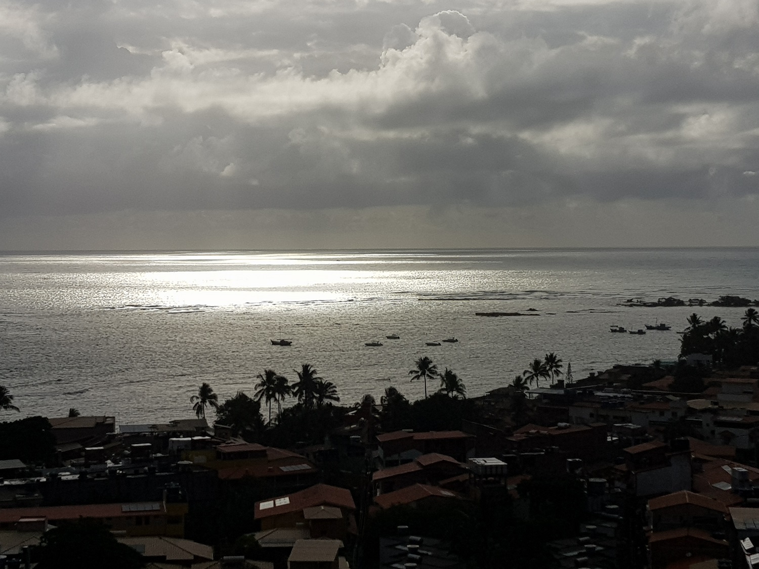 20201204_063741.jpg