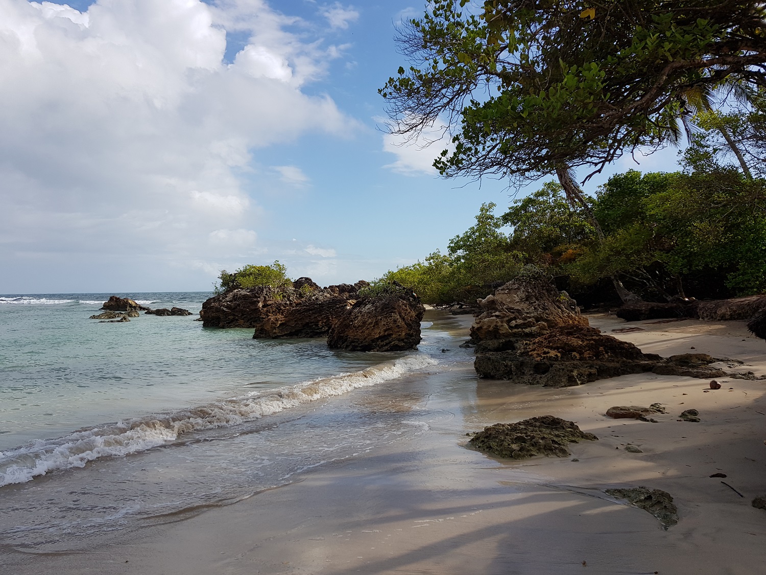 20201204_074138.jpg