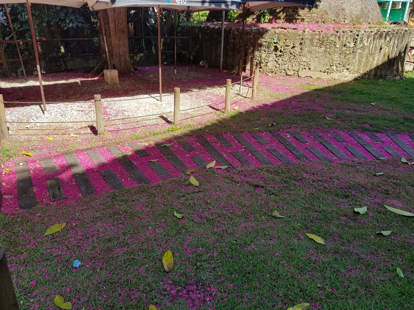 20201204_081509.jpg