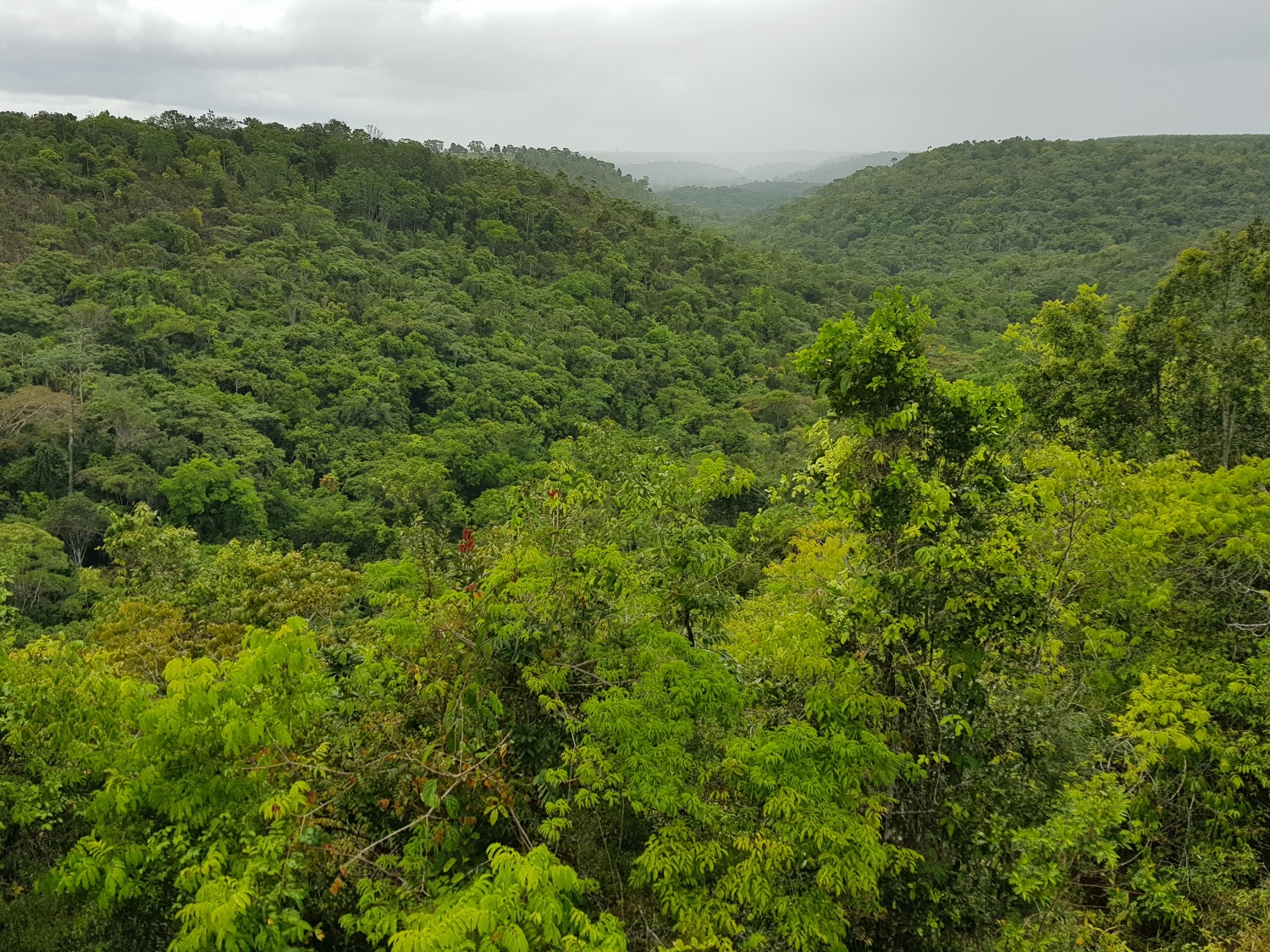 20201205_133448.jpg