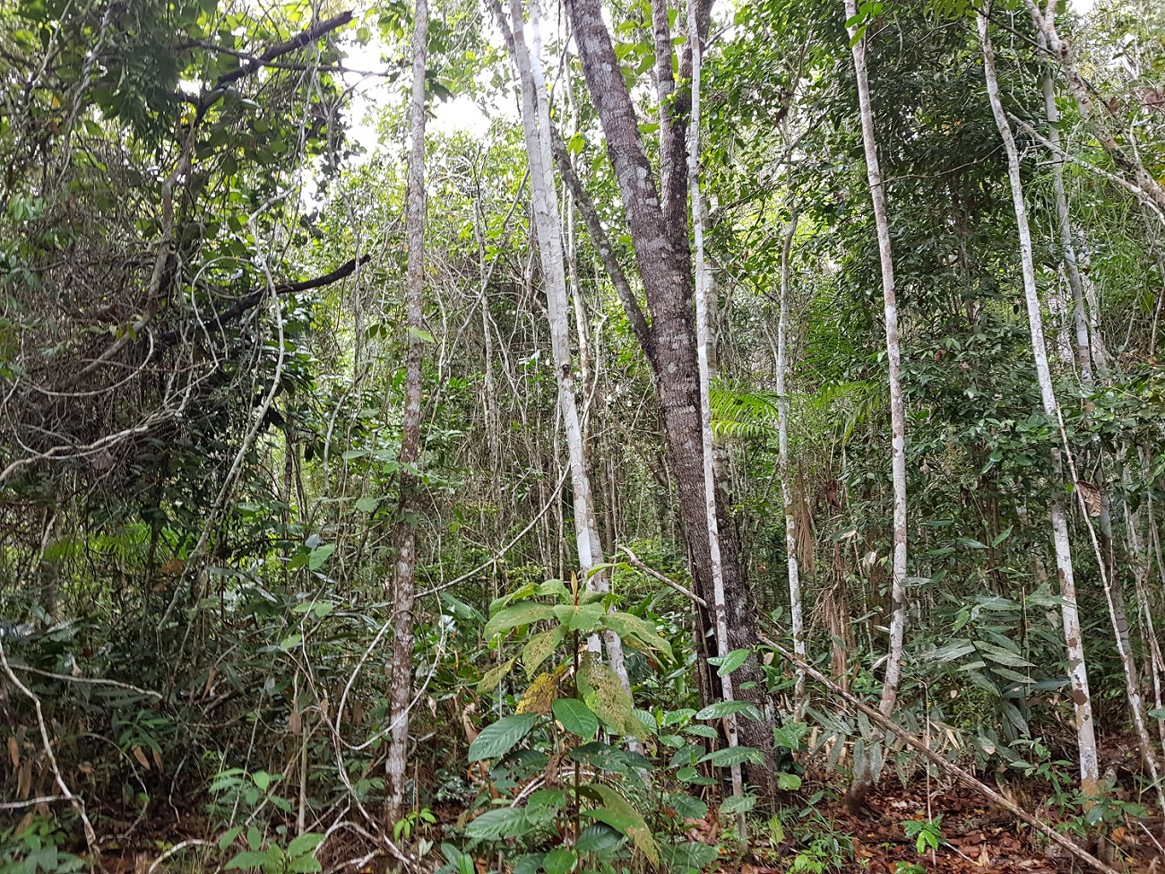 20201205_143114.jpg